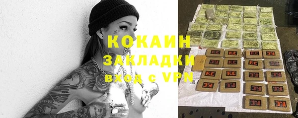 дмт Алзамай
