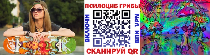 Галлюциногенные грибы мицелий  что такое   кракен сайт  Прохладный 