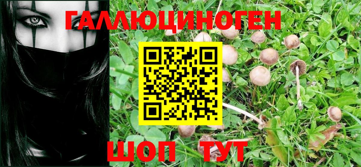 Прохладный  Псилоцибиновые грибы MAGIC MUSHROOMS  наркота  Вход с VPN  Псилоцибиновые грибы Cubensis 