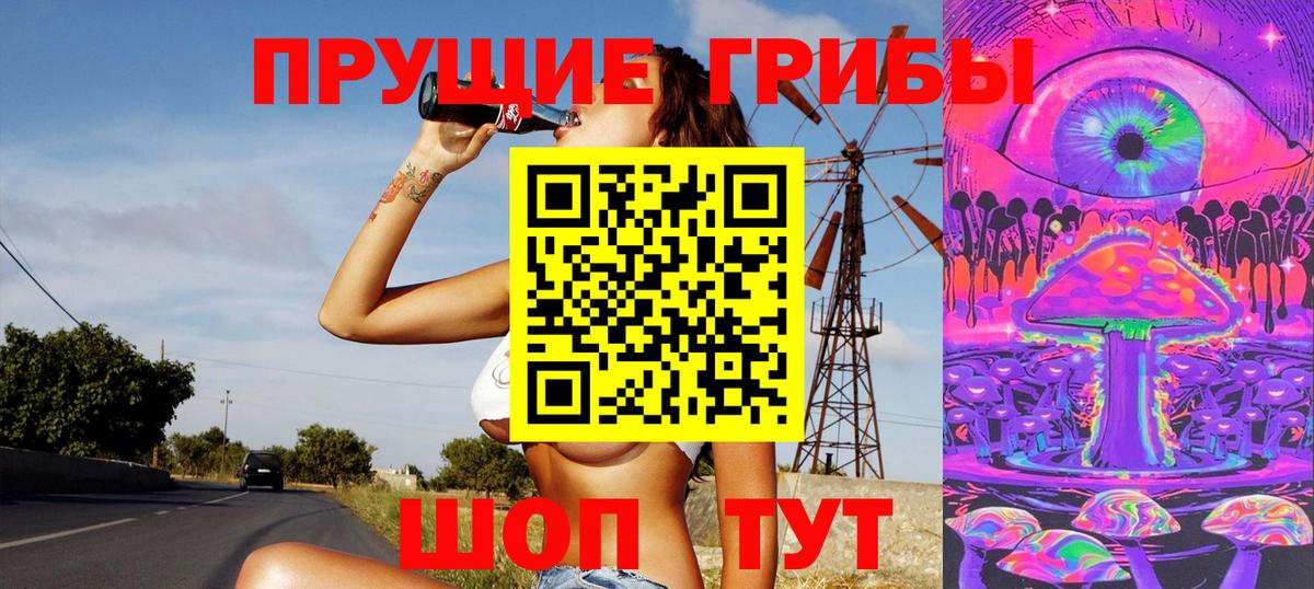 Галлюциногенные грибы Cubensis  цена   Прохладный  Вход с VPN 