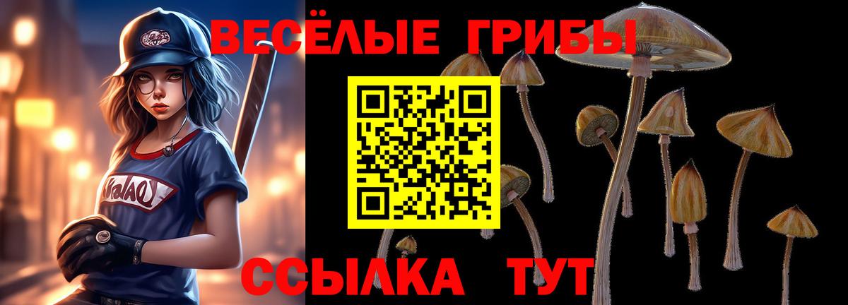 Псилоцибиновые грибы MAGIC MUSHROOMS Прохладный