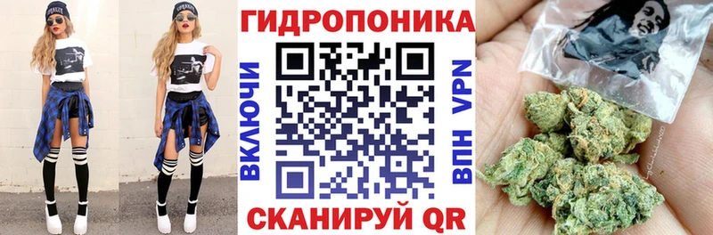 Бошки марихуана OG Kush  shop клад  Прохладный 